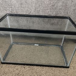 Fish Tank 