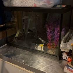 Selling Fish 29 Gallon Fish Tank And Anything Inside It 