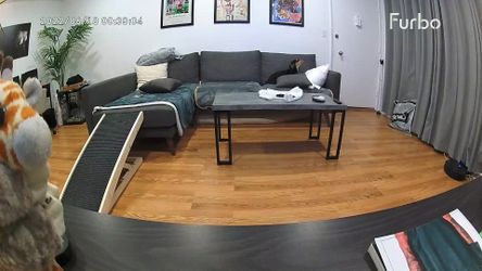 George Oliver Couch 101.5"