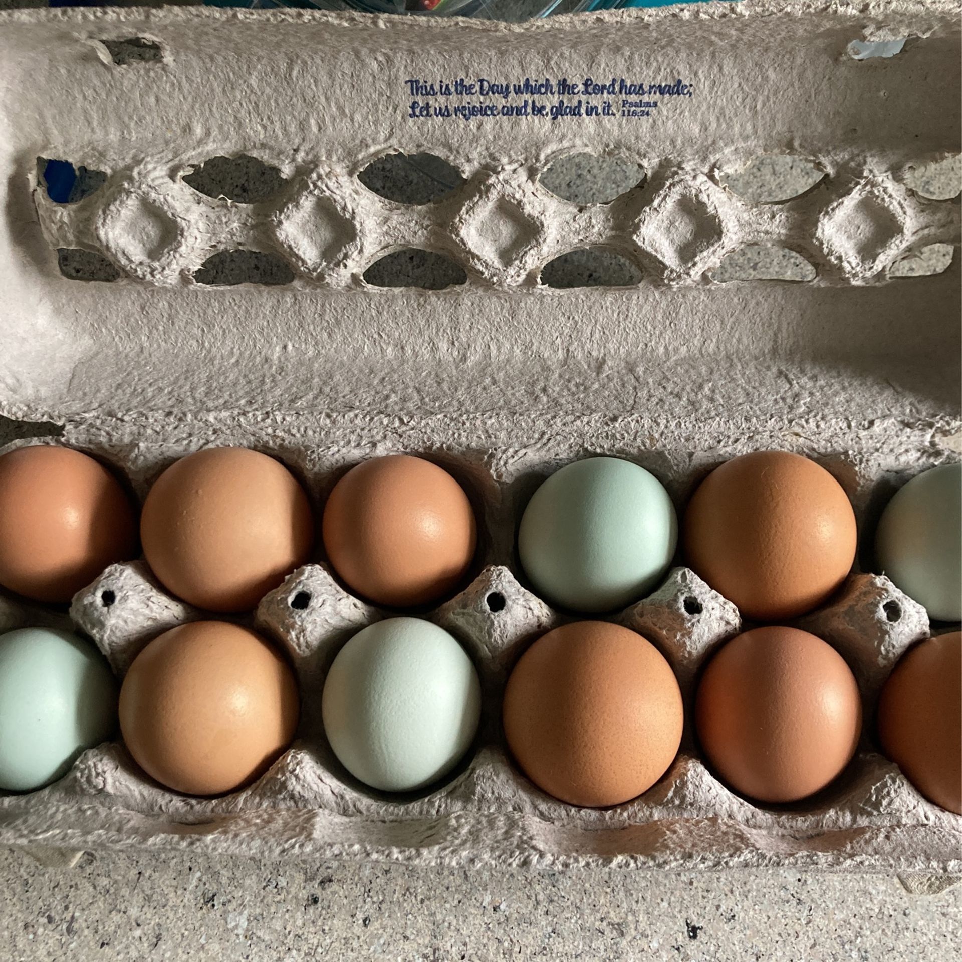 Free Range Chicken Eggs
