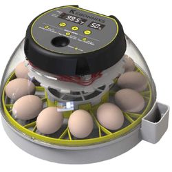 Incubator for Hatching Eggs
