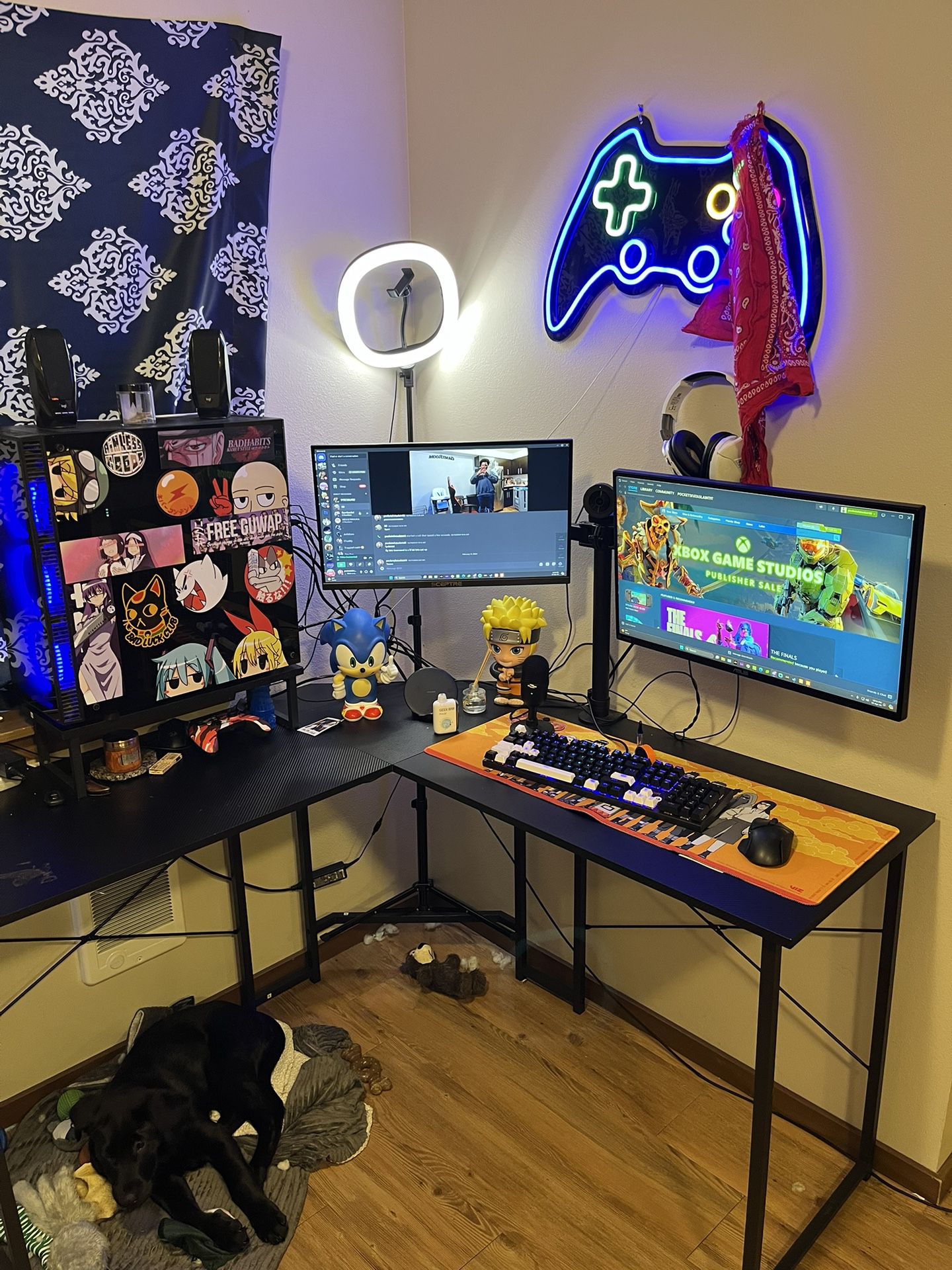Gaming/Streaming PC Set Up 