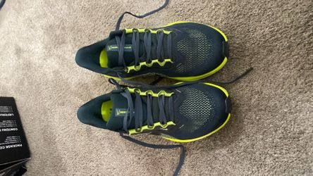 Nike air zoom Pegasus 41