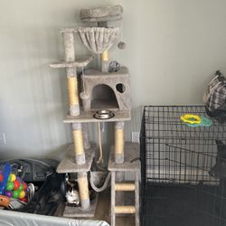 Cat Tower For Sale 