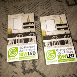 Greenlite Plug & Play Metallic 1 lights Swag Light