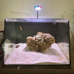 All In One Aquarium Small Reef