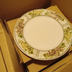 Brand New Dish Set