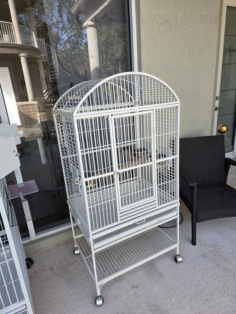Bird Cage