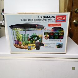 Fishtank 