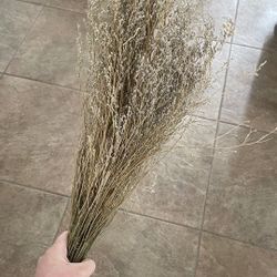 Dried Flowers