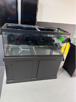 75 gallon aquarium