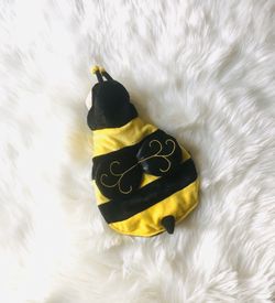Pet Halloween costumes!