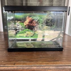 Fish Tank 