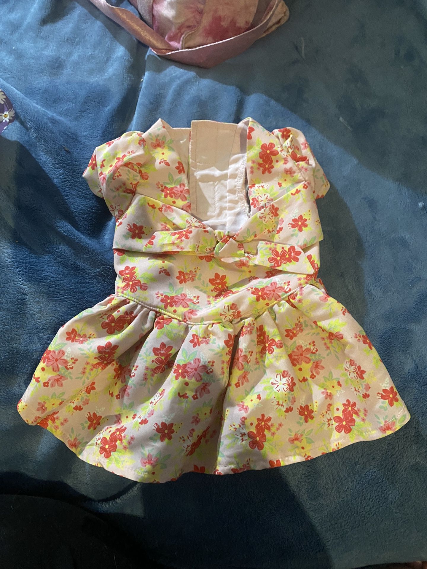 Small Dog Dress