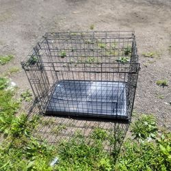 Dog Cage With Tray