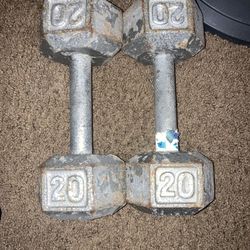 Gym Equipment Weights 