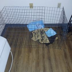 Animal Cage