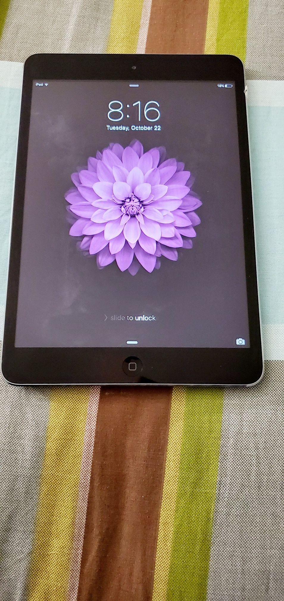 iPad mini iCloud unlocked