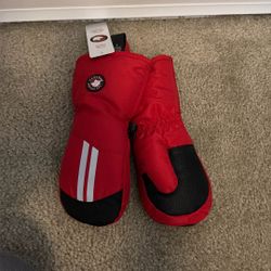 Little Kids Snow Mittens 