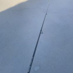 Phenix trifecta Spinning Rod 