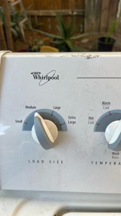 Labadora