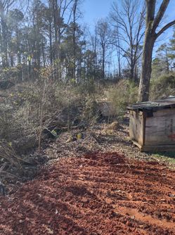 Land Clearing / Grading/ Bobcat/Skid Steer