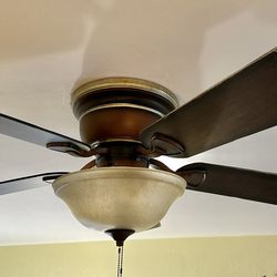 Ceiling Fan With Light
