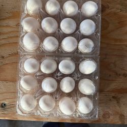 Sunny Nest🥚 Farm Fresh Eggs 