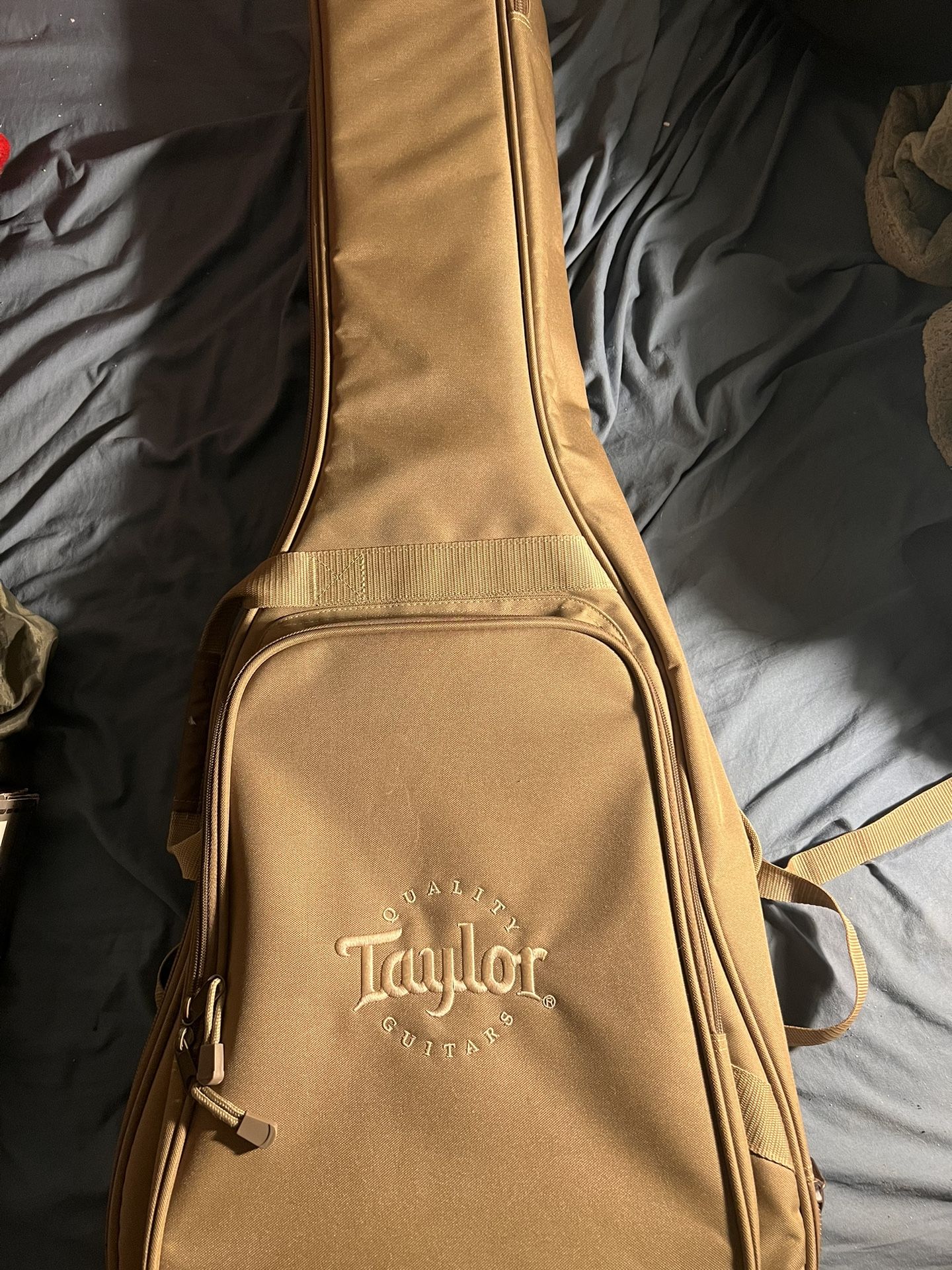 Taylor Gig Bag