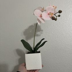 Faux Orchid Plant