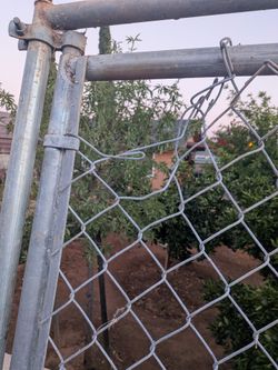 Dog run door