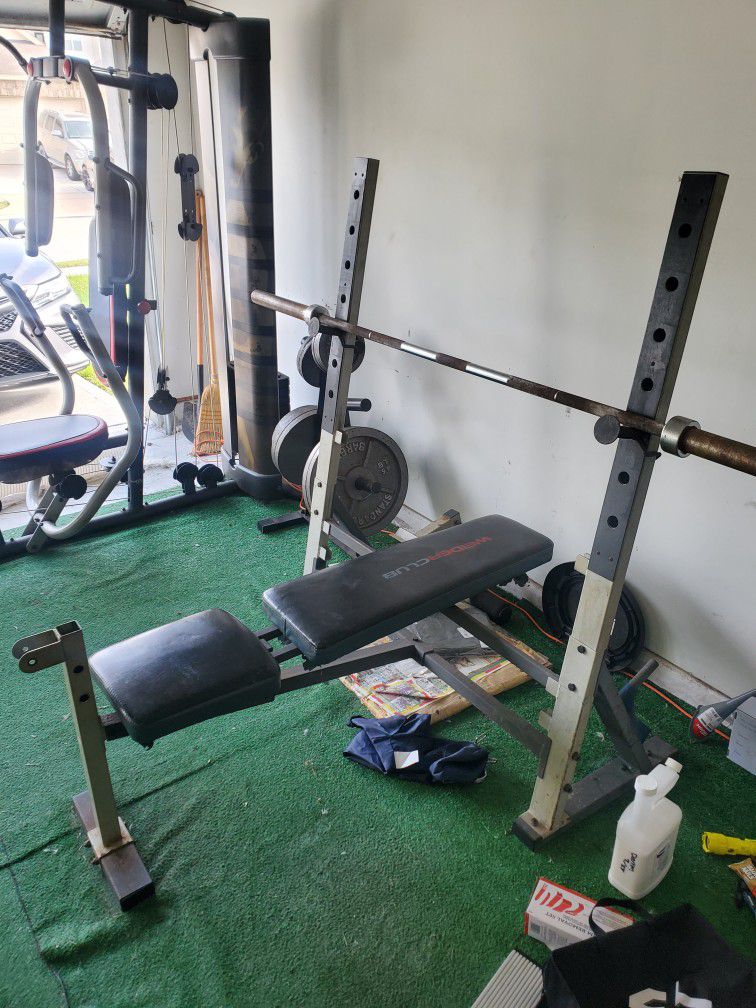 Workout Bench And Equipment 