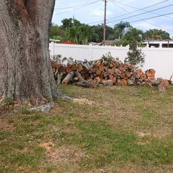 Fire Wood Take All Only  Free