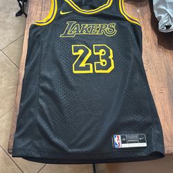 LeBron James Jersey