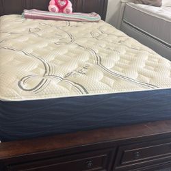 Queen Mattres 14 Inches 