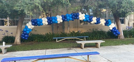 Balloon garland as is