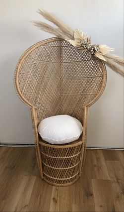Peacock Chair