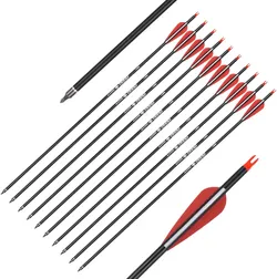 29" Carbon Arrow Hunting Arrows with 100 Grain Removable Tips for Archery Compound & Recurve & Traditional Bow Practice Shooting (Pack of 12)