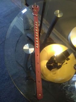 Brand new medium dog collar
