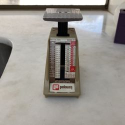 Mini Vintage Scale