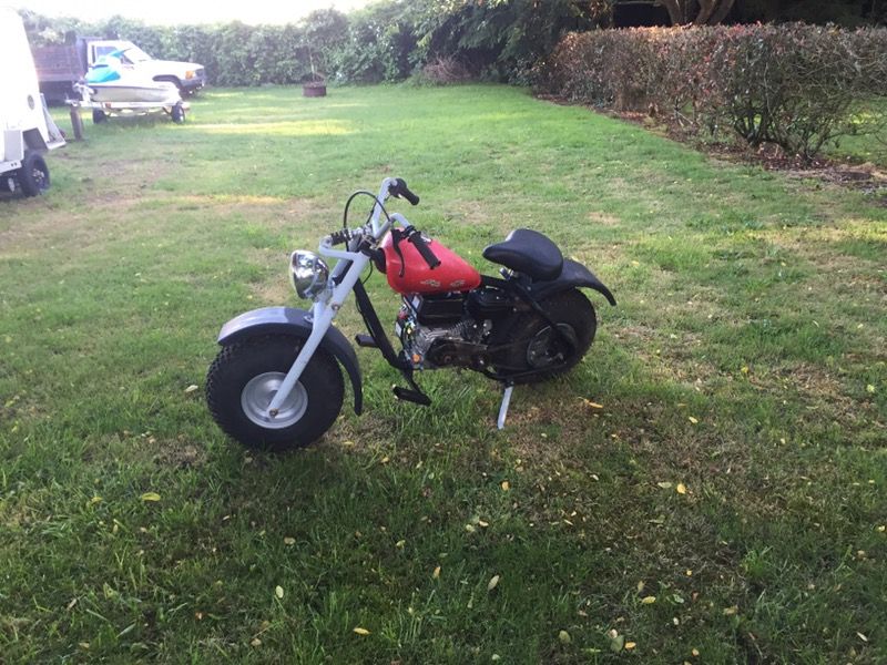 Hawg-Ty 212cc mini bike.