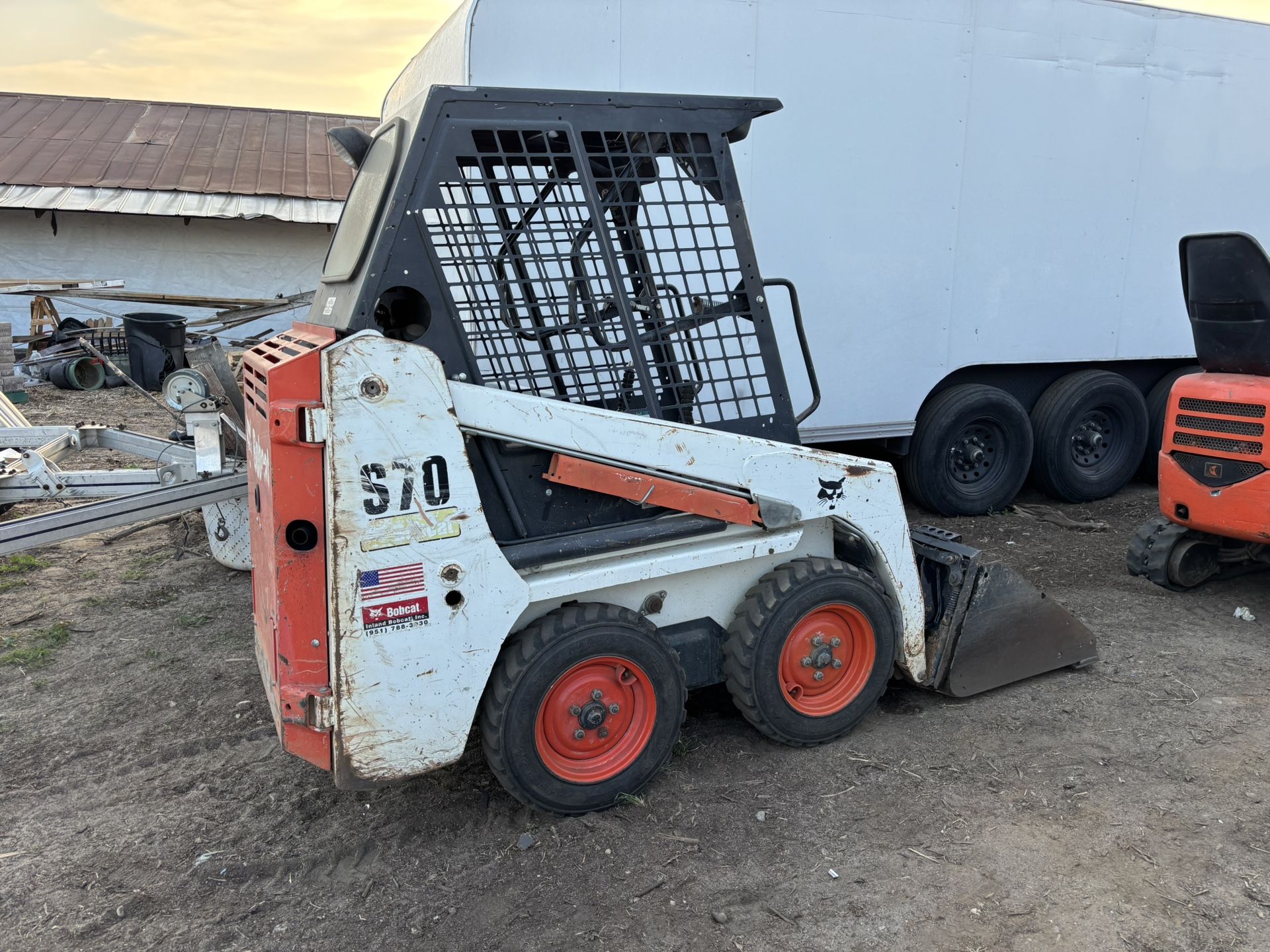 Bobcat