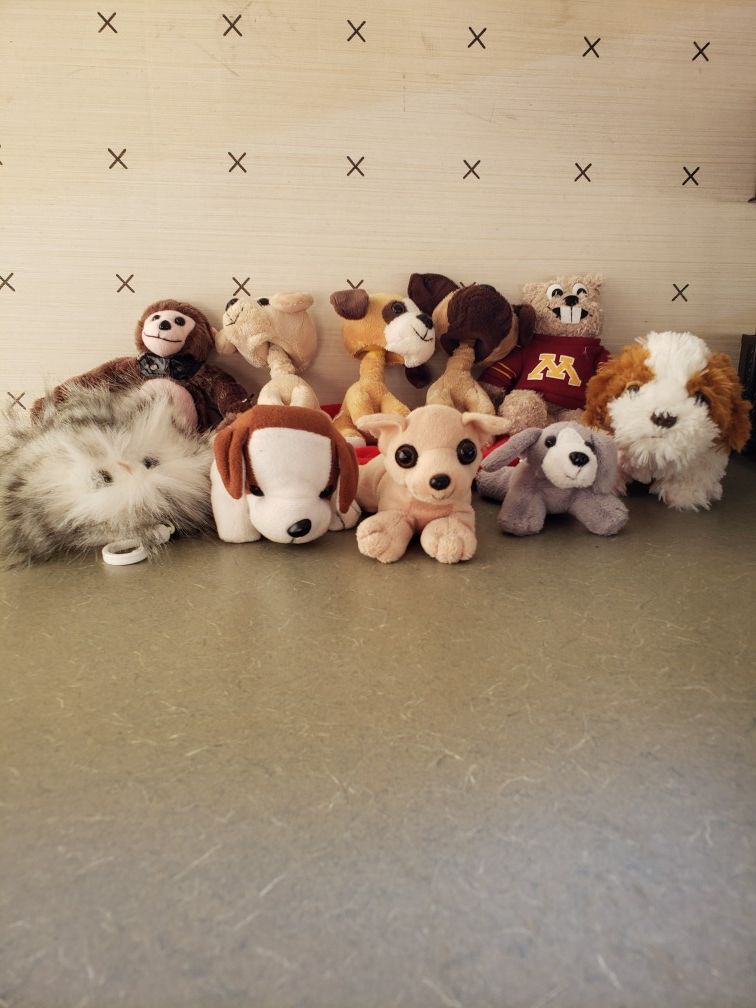 Lot of Stuffed Animals