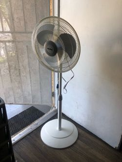 Fans