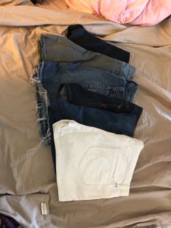 Size 13 shorts