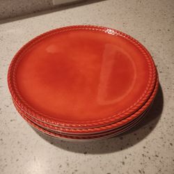 (6) Melamine Dinner Plates