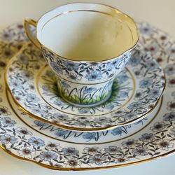 Rosina Tea Cup And saucer