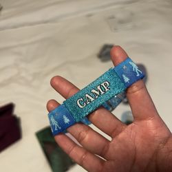 Camp Flog 2day Wristband