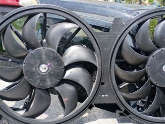 Electric fan motor