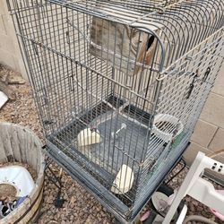 Bird Cage